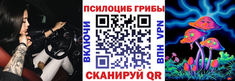 Галлюциногенные грибы Psilocybe  Купить  Сатка 